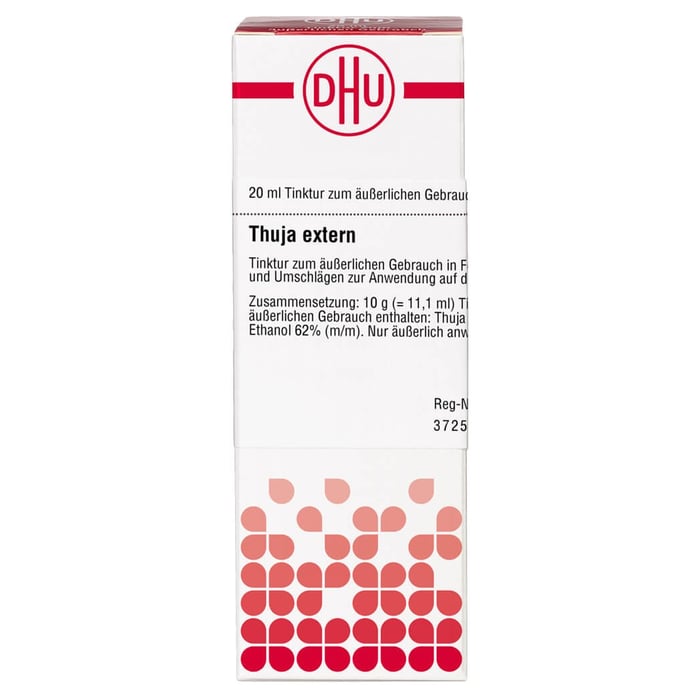 Thuja extern