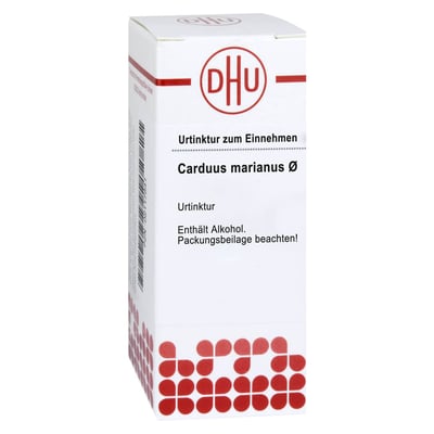Carduus marianus