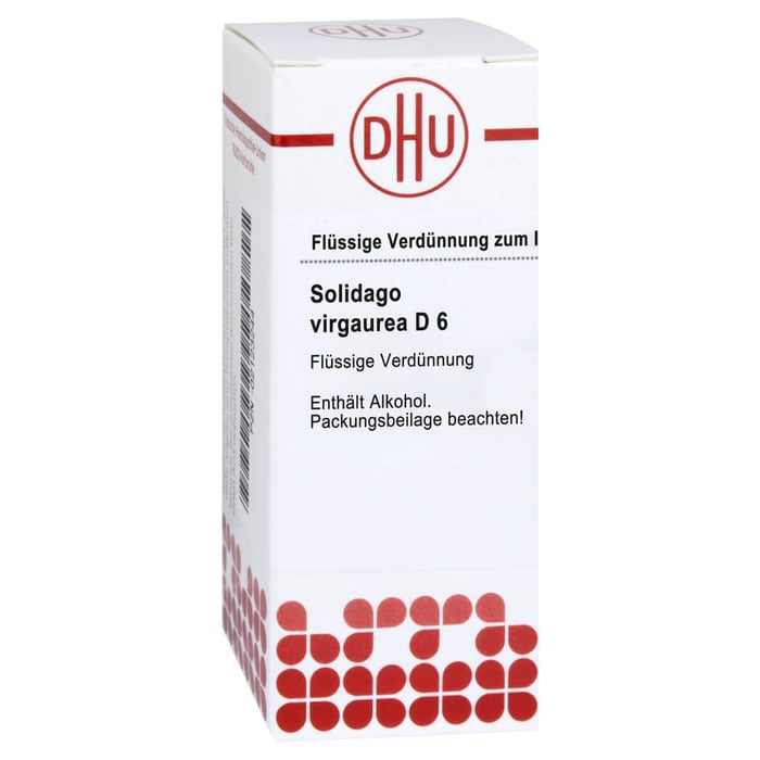 Solidago VIrgaurea D 6