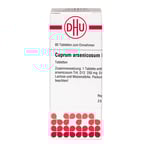 Cuprum Arsenicosum D 12