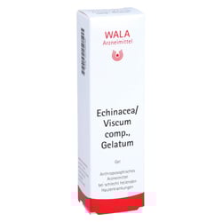 Echinacea/viscum comp.Gelatum