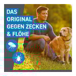 Frontline Spot On bei Hunden 10 - 20 kg