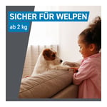 Frontline Spot On bei Hunden 20 - 40 kg Produktbild 7