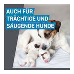 Frontline Spot On bei Hunden 20 - 40 kg Produktbild 8