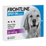Frontline Spot On bei Hunden 20 - 40 kg