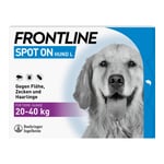 Frontline Spot On bei Hunden 20 - 40 kg
