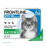 Frontline Spot On gegen Zecken und Flöhe bei Katzen