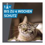 Frontline Spot On gegen Zecken und Flöhe bei Katzen