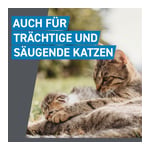 Frontline Spot On gegen Zecken und Flöhe bei Katzen Produktbild 7