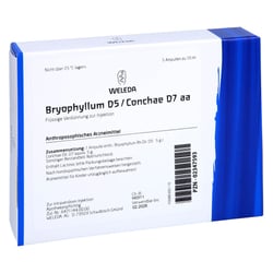 Bryophyllum D 5/Conchae D 7 Ampullen