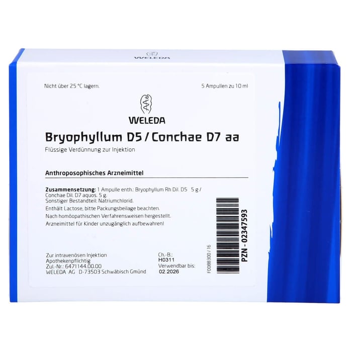 Bryophyllum D 5/Conchae D 7 Ampullen