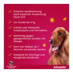 ADVAntiX Spot-on Hund bis 4 kg Produktbild 8