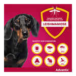 ADVAntiX Spot-on Hund 4-10 kg Produktbild 7