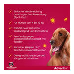 ADVAntiX Spot-on Hund 4-10 kg Produktbild 8
