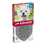 ADVAntiX Spot-on Hund 4-10 kg Produktbild 1