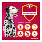 ADVAntiX Spot-on Hund 10-25 kg Produktbild 7