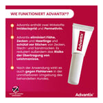 ADVAntiX Spot-on Hund 10-25 kg Produktbild 10