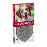 ADVAntiX Spot-on Hund 10-25 kg Produktbild 1