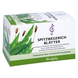 SPITZWEGERICHBLÄTTER BOMBASTUS