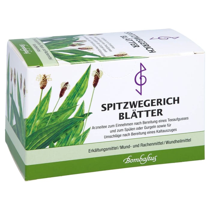 SPITZWEGERICHBLÄTTER BOMBASTUS