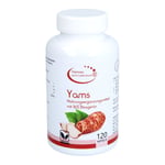 Yams Wurzel Produktbild 1
