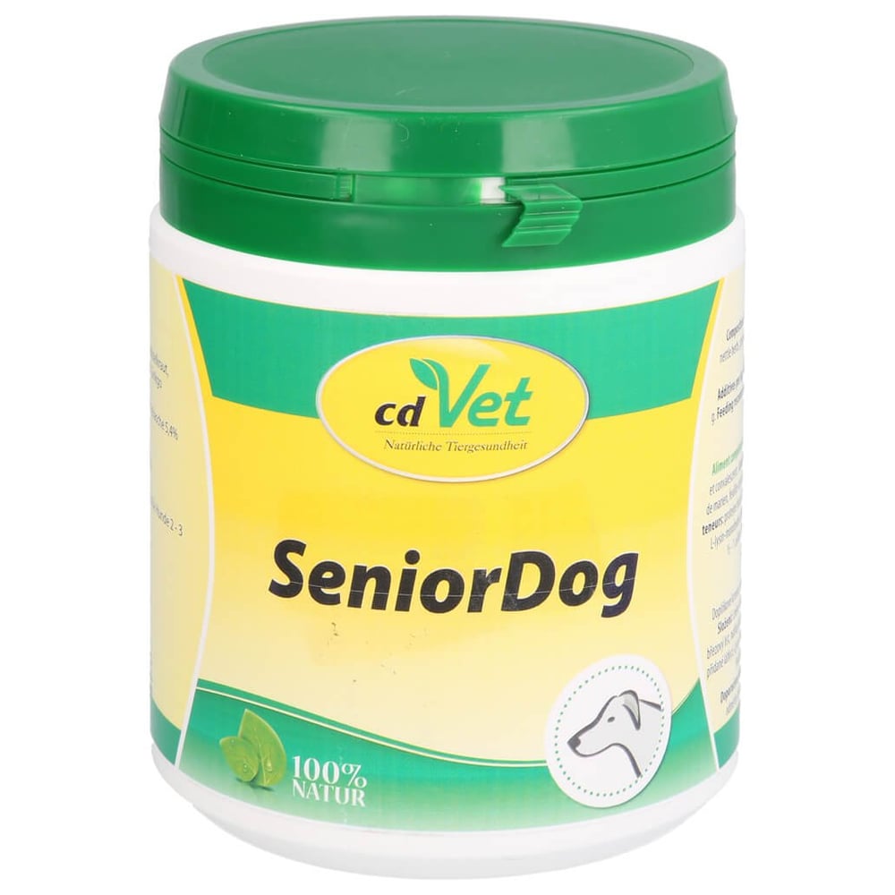 Senior Dog