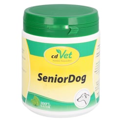 Senior Dog