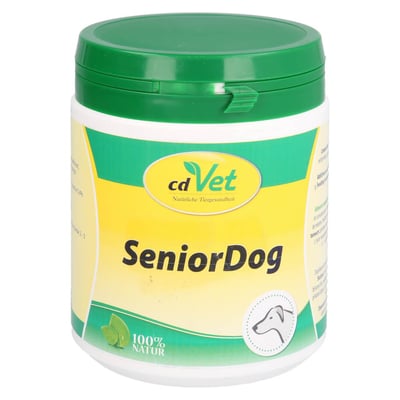 Senior Dog