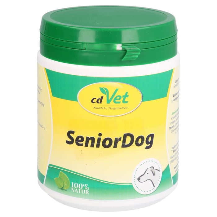 Senior Dog