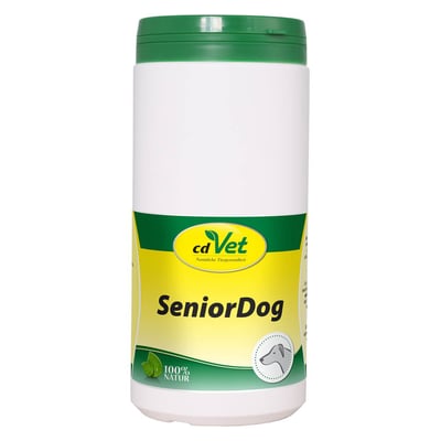 Senior Dog