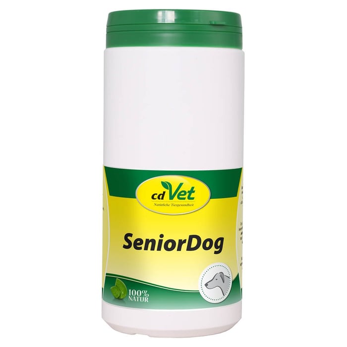 Senior Dog