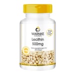 Lecithin 500 mg