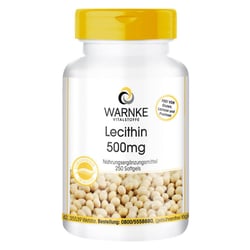 Lecithin 500 mg