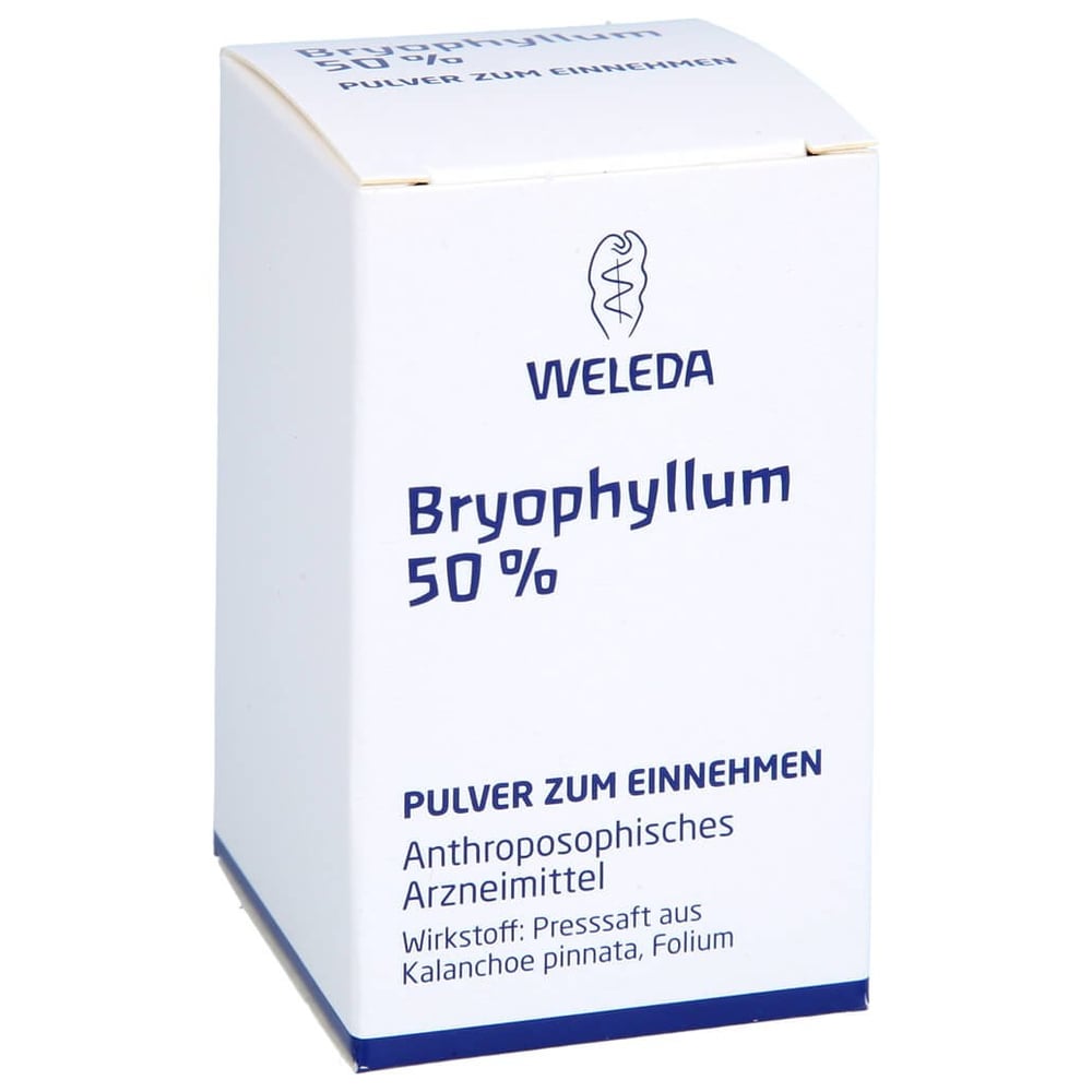 Bryophyllum 50% Pulver zum Einnehmen