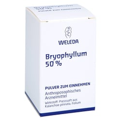 Bryophyllum 50% Pulver zum Einnehmen
