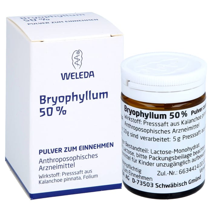 Bryophyllum 50% Pulver zum Einnehmen