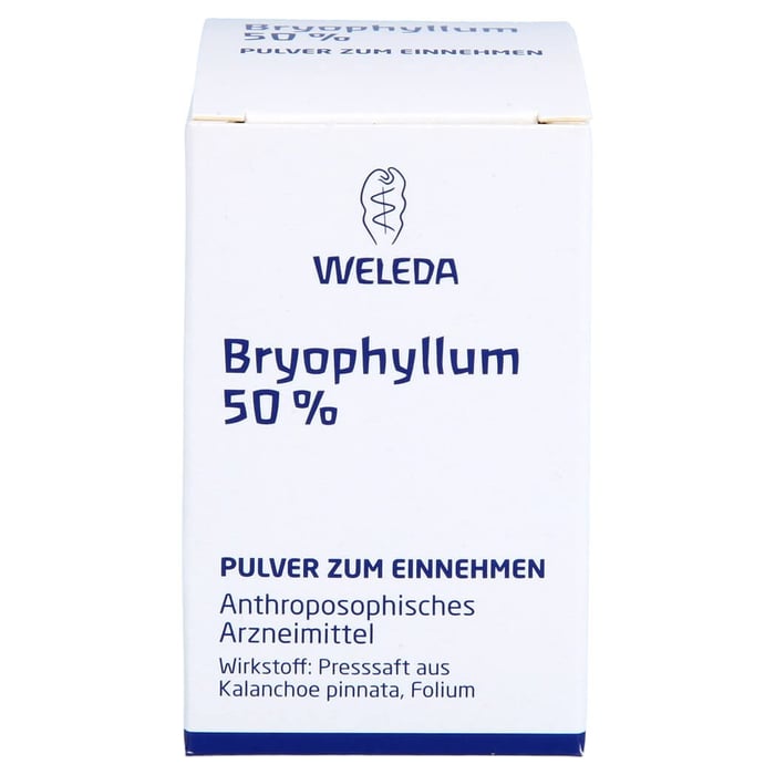 Bryophyllum 50% Pulver zum Einnehmen