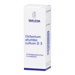 Cichorium Plum Cul D 3