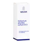 Cichorium Plum Cul D 3