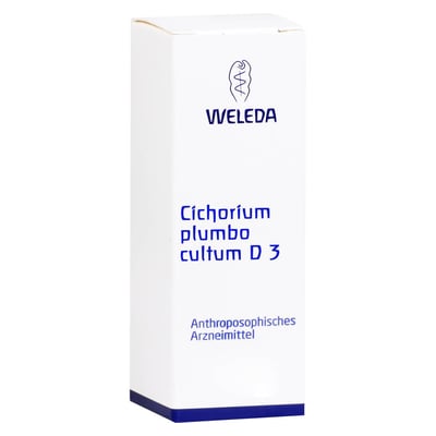 Cichorium Plum Cul D 3