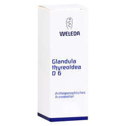 Glandula Thyreoidea D 6