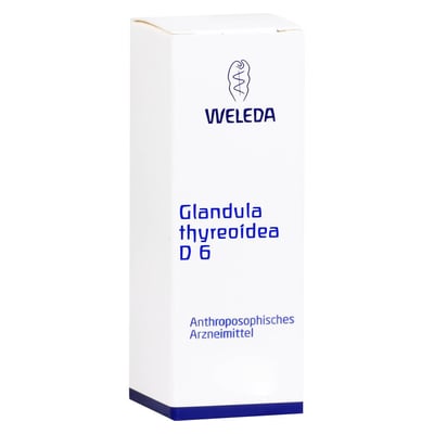 Glandula Thyreoidea D 6