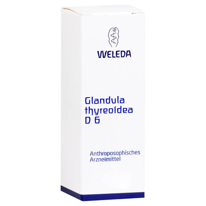 Glandula Thyreoidea D 6