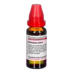 Calendula Extern