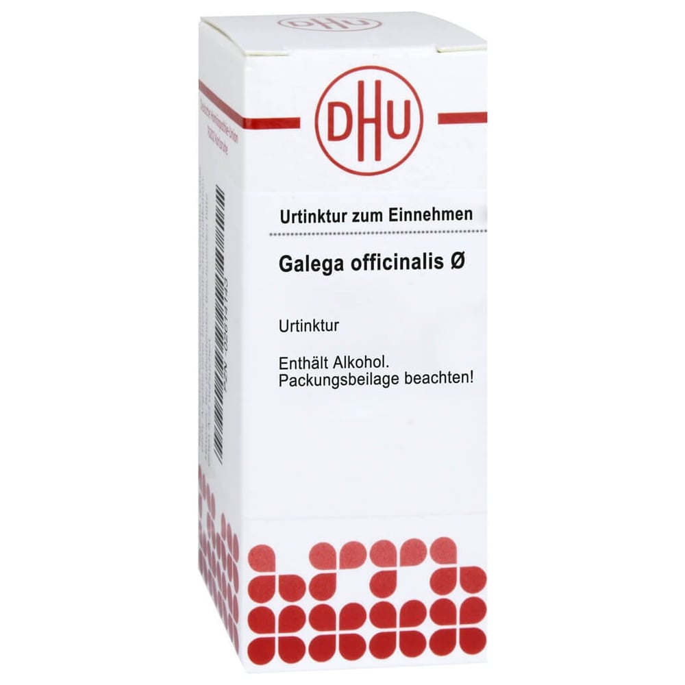 Galega officinalis Urtinktur