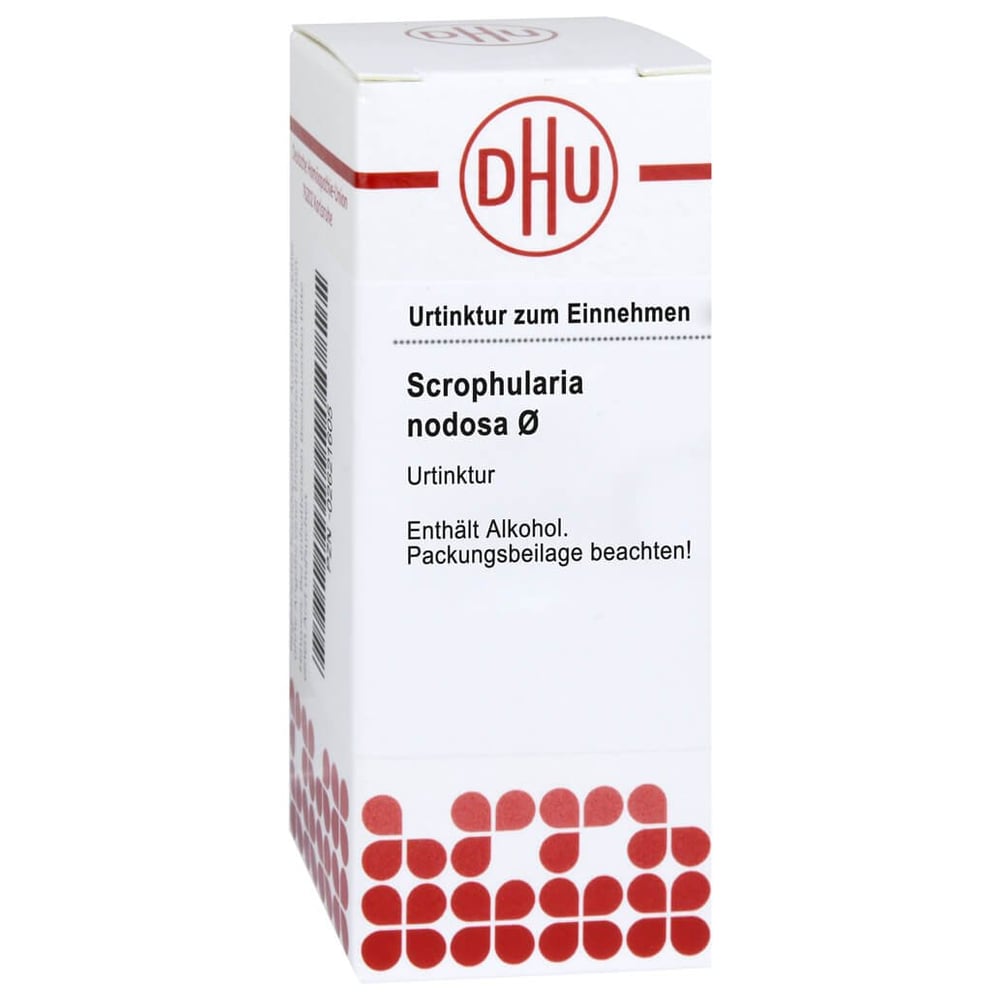 Scrophularia Nodosa Urtinktur