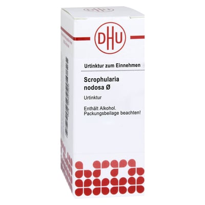 Scrophularia Nodosa Urtinktur