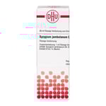 Syzygium Jambolanum D 6