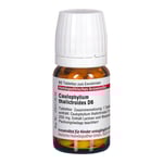 Caulophyllum Thalictroides D 6 Tabletten