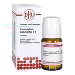 Caulophyllum Thalictroides D 6 Tabletten